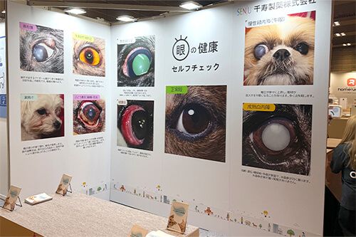 千寿製薬