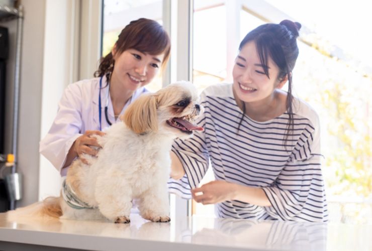 みやざき犬と猫の病院看板